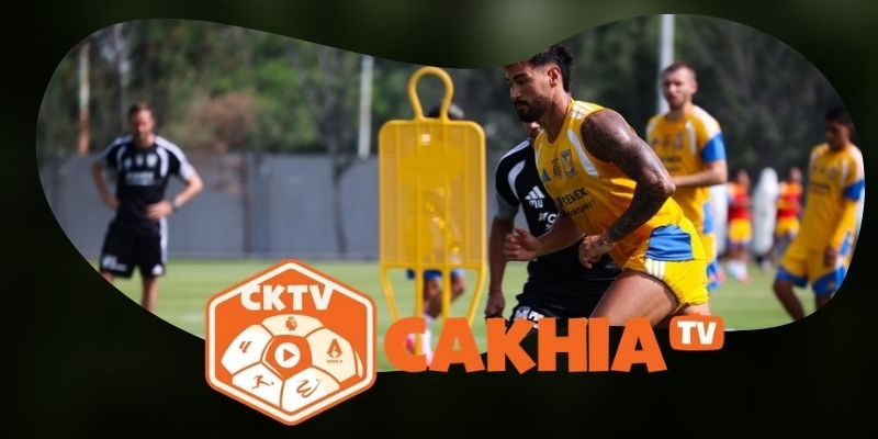 Gợi ý chốt kèo tổng hợp trận Queretaro FC vs Tigres UANL ngày 02/08
